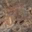 9,000-Year-Old Rock Art Found in Brazil Alongside Dinosaur Tracks